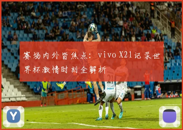 赛场内外皆焦点:vivo X21记录世界杯激情时刻全解析