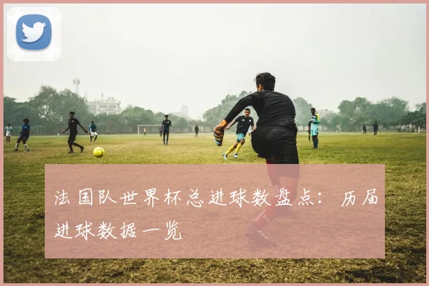 法国队世界杯总进球数盘点：历届进球数据一览