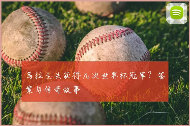 乌拉圭共获得几次世界杯冠军？答案与传奇故事