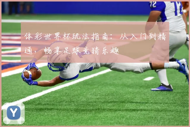 体彩世界杯玩法指南：从入门到精通，畅享足球竞猜乐趣