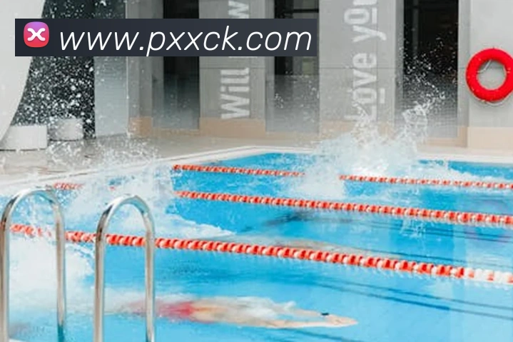 开云手机登录官网平台生态图