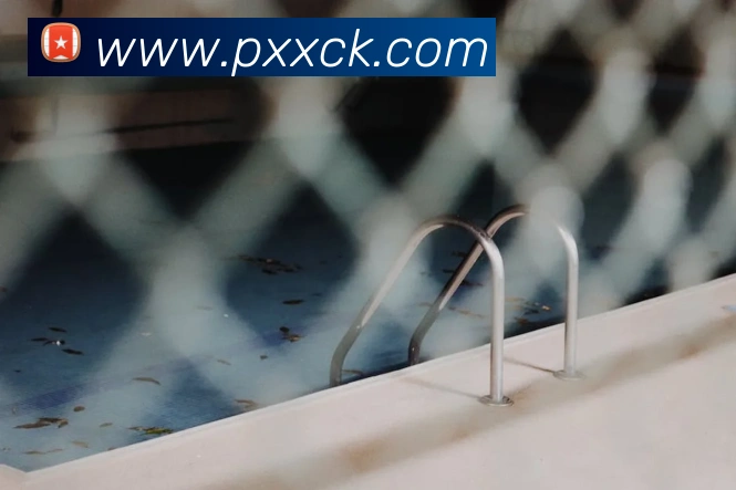 开云手机登录官网APP 封面图